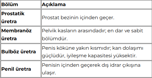 uretra-darligi-tablosu
