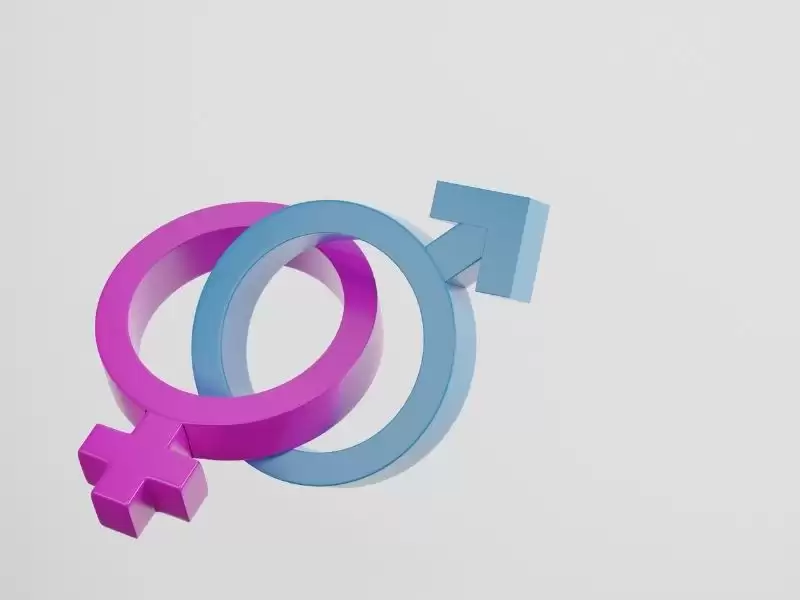 Kadınlar Büyük Penis İster mi?