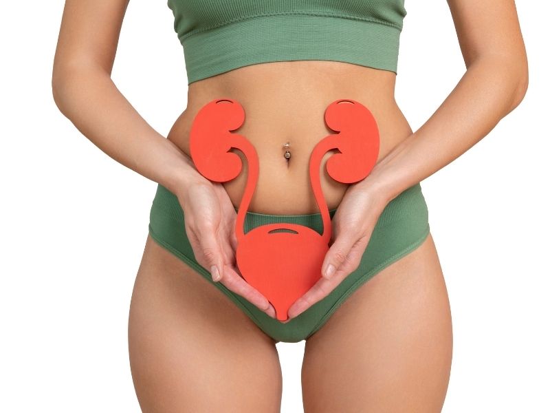 kadinlarda-uretranin-anatomik-yapisi