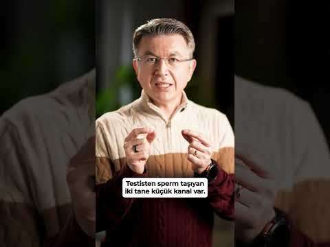 video,paylaşım,kameralı telefon,videofon,ücretsiz,yükleme